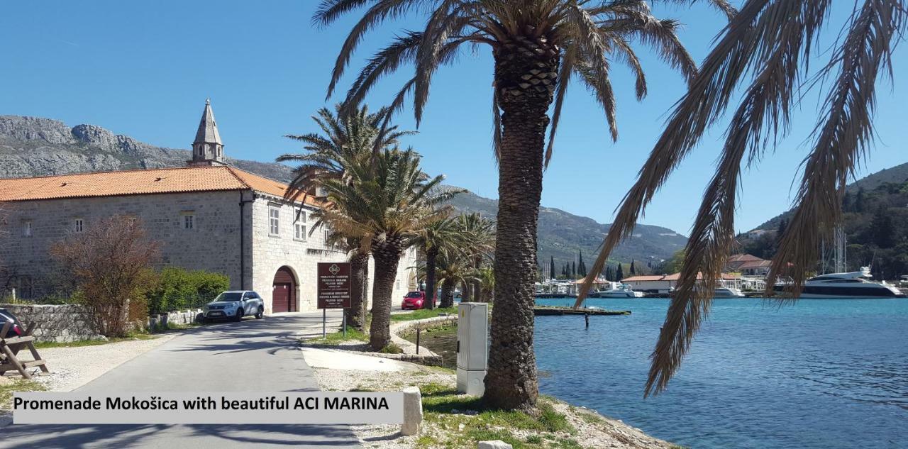 Cosy Apartment - Free Parking Marli 3 Mokošica المظهر الخارجي الصورة